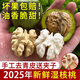 柏饞2025年新鮮核桃5/9斤 四川去青皮濕核桃 當季生核桃 去青皮核桃5斤【送夾子】