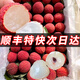 合江帶綠桂味荔枝新鮮現(xiàn)摘現(xiàn)發(fā)10斤廣東增城水果當(dāng)季大鮮果仙進(jìn)奉 3斤（凈重1000g） 【帶綠桂味】桂花香味~奧運(yùn)圣果～