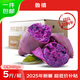 魯禧廣西新鮮紫薯 當(dāng)季精品紫薯地瓜 軟糯香甜健康輕食生鮮蔬菜 中果凈重4.5斤（單果150-400g）