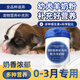 春上村下【0-3月專(zhuān)用】小奶狗幼犬羊奶粉新生小狗犬用哺乳期寵物營(yíng)養補充 1罐幼犬羊奶粉【300g】