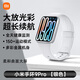 小米手環(huán)9Pro 智能手環(huán)高精度運動(dòng)健康睡眠心率血氧監測手環(huán)送男友送女友高清大屏手表 小米手環(huán)9Pro【銀色】