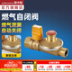 潛水艇（Submarine）燃?xì)庾蚤]閥 家用廚房天然氣管道閥門漏氣超溫超壓過流時(shí)自動(dòng)關(guān)閉 四分內(nèi)絲自閉閥（RB1/2F-1/2M）