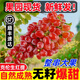 黃六爺克倫生無籽葡萄無籽紅提新鮮現(xiàn)摘脆甜玻璃脆提子當季水果孕婦整箱 2斤【新鮮超甜，順豐速達】 自然熟爆甜