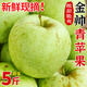 順豐山東金帥青蘋果5斤新鮮當(dāng)季水果現(xiàn)摘脆酸甜王林瑞雪明月青森L 5斤【順豐快遞】