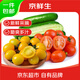 京鮮生 山東紅黃色圣女果+小黃瓜組合 4.5斤裝 各一半裝 源頭直發(fā)包郵