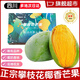 酷友 正宗四川攀枝花椰香雞蛋芒果甜心青綠皮大芒果新鮮現(xiàn)摘時(shí)令水果 5斤中果彩箱（單果150g+）