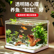 森森（SUNSUN）熱彎魚缸免換水懶人生態(tài)魚缸小型水族箱白玻璃金魚缸水草缸 熱彎超白長(zhǎng)50cm裸缸