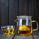 美斯尼 旅行茶具套裝耐熱玻璃快客杯一壺二杯泡茶壺茶杯便攜式戶(hù)外旅游出差功夫茶具 旅行杯