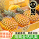 譯蒙之味海南正宗金鉆鳳梨臺農(nóng)17號新鮮水果樹上熟手撕禮盒整箱 5斤精選大果【2-3個】