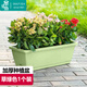 墨斗魚(yú)霍倫盆種菜花盆草綠色*1家用育苗盆長(cháng)方形種植多肉箱陽(yáng)臺種菜箱