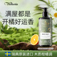 VICTORIA維多利亞沐浴露300ml洋甘菊滋潤