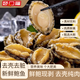頤口福大連鮮食海參野生底播9A國產(chǎn)海參禮盒順豐包郵海鮮水產(chǎn)禮盒禮品 去殼純鮑魚肉1斤（12-16只）