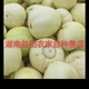 湖南農(nóng)家自種香瓜口感軟糯香甜現(xiàn)摘現(xiàn)發(fā) 益陽本地香瓜 5斤 5-6 個