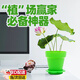 oeny碗蓮水培植物種孑睡蓮荷花無(wú)土栽培種籽室內情緒種植種植小盆栽 【水培碗蓮套裝1套】 植場(chǎng)新手丨必備神器