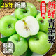 壹萌果蔬山西青蘋果新鮮水果當(dāng)季現(xiàn)摘綠小蘋果王林孕婦酸脆甜整箱包郵 凈4.5斤精選果【60MM+】