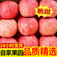 現摘陜西紅富士蘋(píng)果當季脆甜丑蘋(píng)果新鮮水果冰糖心脆甜多汁時(shí)令 9斤