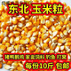 東北新玉米粒干玉米粒喂豬雞鴨鵝鳥(niǎo)家禽飼料鴿子糧釣魚(yú) 精選玉米粒(10斤裝)國儲標準 黑龍江玉米粒-顆顆飽滿(mǎn)