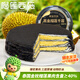 榴蓮西施（liulianxishi）榴蓮千層蛋糕動物奶油新鮮生日小蛋糕辦公室下午茶順豐包郵 黑金榴蓮千層蛋糕400g*1盒