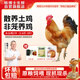 楊博士皖南散養(yǎng)大公雞 凈重2.6斤 生鮮雞肉土雞含雞胗雞心源頭直發(fā)