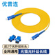 優(yōu)普連 電信聯(lián)通移動鐵通寬帶光纖到戶單模光纖跳線延長線SC-SC大方接口家庭預(yù)埋室內(nèi)入戶光纖線 15米