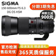 適馬150-600mm F5-6.3 DG OS HSM 60-600二手鏡頭 打鳥荷花 適馬150-600/5-6.3 OS HSM C版 尼康F口【95新】