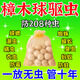 樟腦丸衣柜防霉防蟲(chóng)驅蟲(chóng)床上室內驅跳蚤螨蟲(chóng)床虱防潮防蛀防蟑螂藥 樟木球20顆