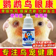 一滴靈鸚鵡單眼傷風(fēng)眼藥水鸚鵡眼病眼睛感染鸚鵡單眼傷風(fēng)藥滴眼液 10ml*1瓶【單眼傷風(fēng)急救】