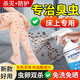 邢賽臭蟲藥床上吸血蟲專用藥除滅臭蟲殺蟲劑特家用宿舍效藥呋蟲胺床虱 專滅臭蟲1瓶【床上適用】