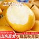 時(shí)茂正宗山東萊陽(yáng)秋月梨【多倉發(fā)貨】新鮮水果整箱批發(fā)當季中秋禮盒 5斤巨無(wú)霸?xún)糁?.5斤 單果300g+
