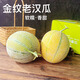 新疆哈密瓜  金紋老漢瓜西州蜜瓜  新鮮水果蜜瓜甜瓜整箱 金紋老漢瓜9-10斤（2個）
