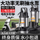 名磊 農(nóng)用直流水泵電瓶車潛水泵無刷直流電車專用抽水泵家用灌溉水泵  1寸48-60-72V550W7米線