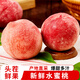 京愿 新鮮水蜜桃 毛桃 脆甜桃子 紅不軟  當(dāng)季新鮮孕婦水果生鮮 5斤（凈重4.5斤）