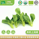 有機(jī)匯 有機(jī)上海青 新鮮小油菜雞毛菜寶寶輔食 有機(jī)認(rèn)證無農(nóng)殘 當(dāng)天采摘 500g
