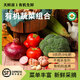 有機蔬菜自選組合新鮮當季現采摘農場(chǎng)直發(fā)無(wú)農殘蔬菜沙拉輔食輕食 上海/深圳倉自選6種（3-6斤）