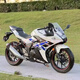 車蘭達(dá)二手玲木GSX250R玲木小小R電噴水冷雙缸高配ABS跑車賽車摩托車 白色