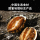 灃運(yùn)正宗連江鮑魚大個(gè)海捕新鮮冷凍加熱即食原殼帶肚鮑魚41-50g/只 【熱賣爆款】原殼帶肚鮑魚340g/盒*2