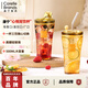 CORELLE BRANDS康寧CB雙飲杯高硼硅玻璃吸管杯咖啡水杯子家用耐高溫果汁泡茶杯女 【500ml】心悅雙飲杯*1