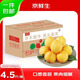 京鮮生 黃金油桃 凈重4.5斤 單果100g+  生鮮水果 源頭直發(fā)