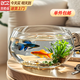 貝初眾魚(yú)缸生態(tài)缸中小圓形玻璃魚(yú)缸加厚斗魚(yú)缸金魚(yú)缸懶人客廳桌面魚(yú)缸 20*15*10cm 裸缸