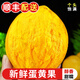 【現(xiàn)摘順豐】新鮮雞蛋果 云南/海南蛋黃果 獅頭果熱帶水果香甜 單果120-200g 1000g