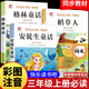 【注音版】 稻草人安徒生童話(huà)格林童話(huà) 三年級上冊快樂(lè )讀書(shū)吧必讀的課外書(shū)閱讀書(shū)籍 小學(xué)生版同步教材經(jīng)典書(shū)目稻草人葉圣陶完整版全套名著(zhù)閱讀課程化叢書(shū)稻草人三年級上學(xué)期人教版 【全套3本】注音版三年級上冊必