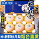 正宗山東秋月梨9斤李子新鮮水果當季現(xiàn)摘脆甜冰糖梨雪梨蜜梨順豐L 3斤 大果【嘗鮮試吃|順豐快遞】