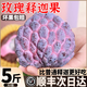 順豐玫瑰釋迦果5斤新鮮現(xiàn)摘番荔枝大果林檎當季水果整箱包郵孕婦R 3斤 【中果】