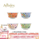 AYNSLEY英國安斯麗小屋花園溫莎系列骨瓷飯碗湯碗歐式餐具陶瓷高顏值家用 4只裝面碗 15.6cm