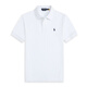 POLO SPORT美國保羅polo衫男小馬標刺繡純棉短袖T恤男經(jīng)典百搭商務(wù)翻領(lǐng)體恤 白色寶藍標 L 建議145-165斤