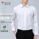 啄木鳥(niǎo)【平紋純色】襯衫男秋商務(wù)免燙寸衫西裝伴郎長(cháng)袖襯衣白色41