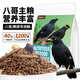 捕漁達(dá)人八哥/鷯哥專用糧1200g八哥飼料鳥飼料鷯哥鳥糧食營養(yǎng)鳥糧面包蟲干