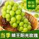 集南鮮 大涼山陽光玫瑰葡萄 晴王香印提子果園現(xiàn)摘 JD直發(fā) 生鮮水果禮盒 含箱5斤甄選 單果8g起 凈重4斤