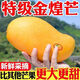 格沃斯 海南金煌芒新鮮芒果當(dāng)季現(xiàn)摘水果大果青芒一整箱批發(fā) 帶箱9-10斤(精選大果)巨甜