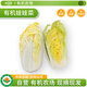 沈佳農(nóng)有機(jī)娃娃菜白菜青菜新鮮蔬菜配送現(xiàn)發(fā)輔食燒烤露營(yíng)火鍋菜白菜400g 娃娃菜400g